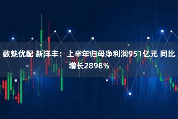 数魅优配 新洋丰：上半年归母净利润951亿元 同比增长2898%
